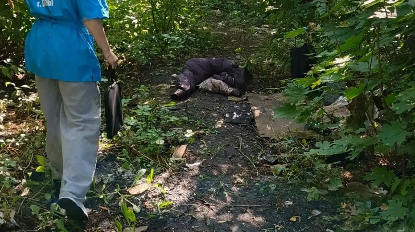 С начала года в Пензе обнаружили 9 бездомных