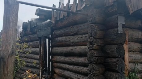 В Пензенской области произошел очередной пожар из-за удара молнии