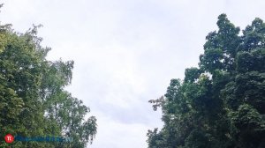 Силы ПВО устранили ракетную угрозу Пензенской области