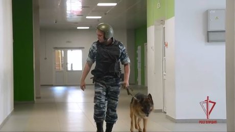 В Пензе отработали падение БПЛА на территорию школы