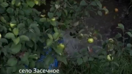 Загрязнение Суры в Засечном: возбуждено уголовное дело