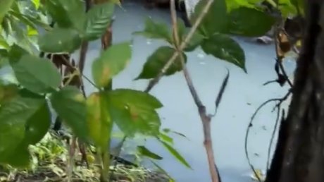 Загрязнение Суры в Засечном: возбуждено уголовное дело
