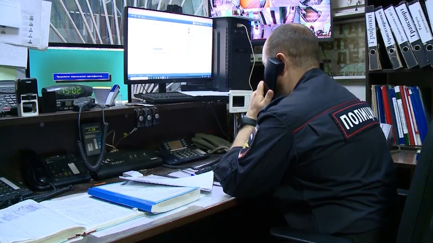 Жителю Колышлейского района грозит срок за огород в лесу