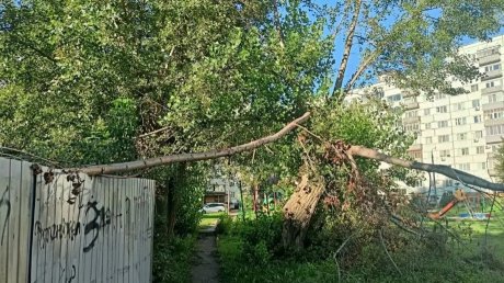 Спортплощадку на улице Бородина похоронили дикие заросли