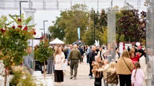 В центре Пензы пройдет Фестиваль креативных индустрий