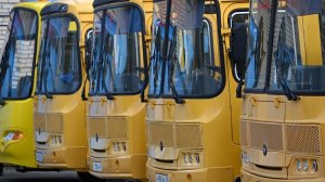 В Пензе будут довозить до школ 838 учеников
