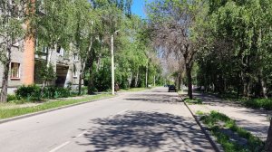 История Пензы: Улица Толстого названа в честь губернатора