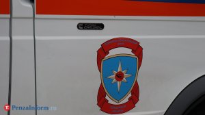 В Нижнеломовском районе подожгли дом, пострадала женщина