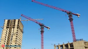 ООО СЗ «Термодом», чей долг составил 87 млн, могут признать банкротом