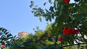 3 сентября в Пензенской области станет чуть прохладнее