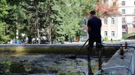 В Пензе задумали восстановить фонтан «Ласточка»