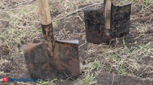Пензенцы смогут сдать садовый мусор на полигон