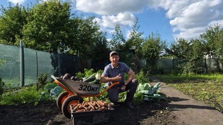 Глава Пензы похвастался в Сети собранным урожаем