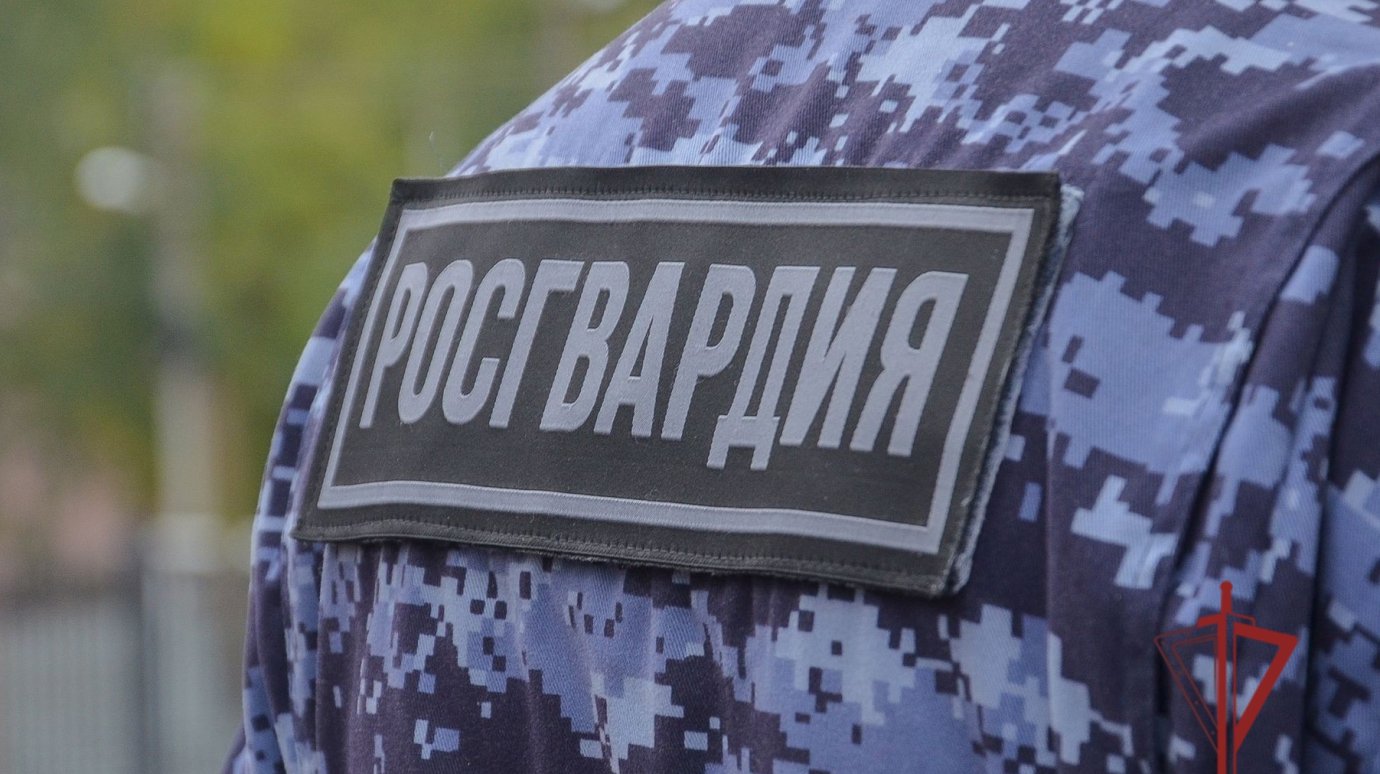 В Пензе женщина ночью выбежала на дорогу и начала снимать одежду