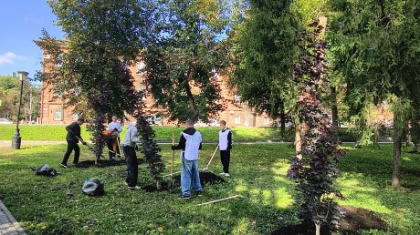 В Лермонтовском сквере высадили ели, клены и можжевельник
