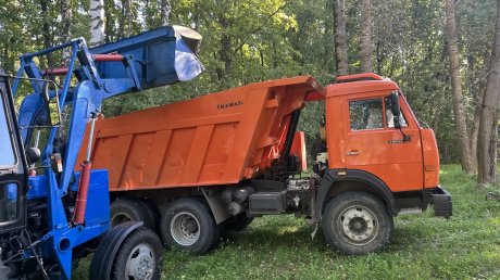 Вадим Супиков помог с опиловкой аварийного дерева у школы № 66