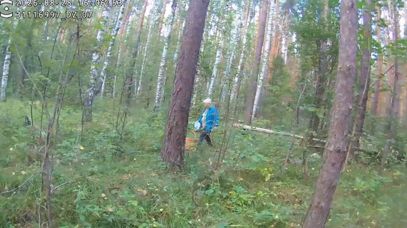 Полицейские нашли в лесу заблудившуюся пенсионерку