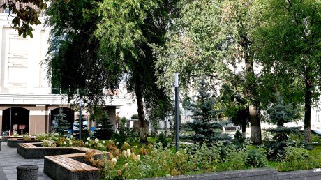 В сквере на улице Кирова высадили сирень, калину и сосну