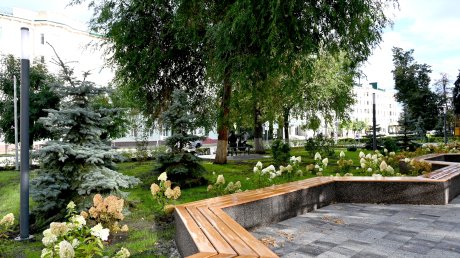 В сквере на улице Кирова высадили сирень, калину и сосну