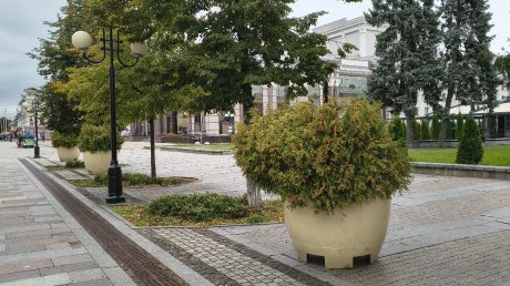 Площадь Ленина в Пензе готовят к Дню города