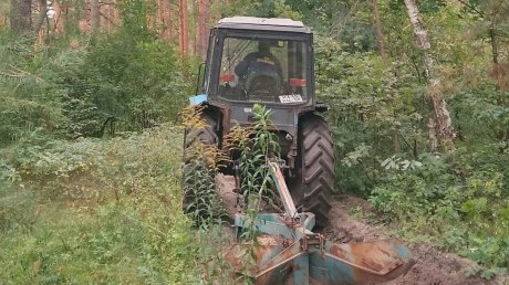 В разных районах Пензы обновляют минерализованные полосы