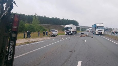 На М-5 «Валдай» врезался в фуру и сбил стоявшего рядом водителя