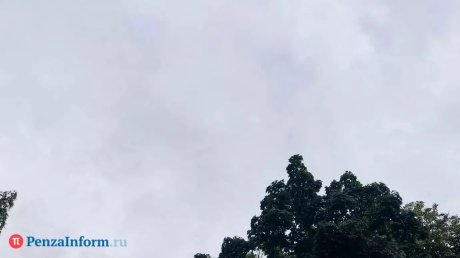 Над Пензенской областью сбили три беспилотника