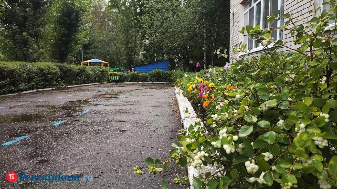 14 сентября в Пензенской области будет не более +20 градусов