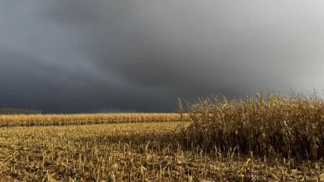 Агрофирма «Раздолье» подвела итоги сезона