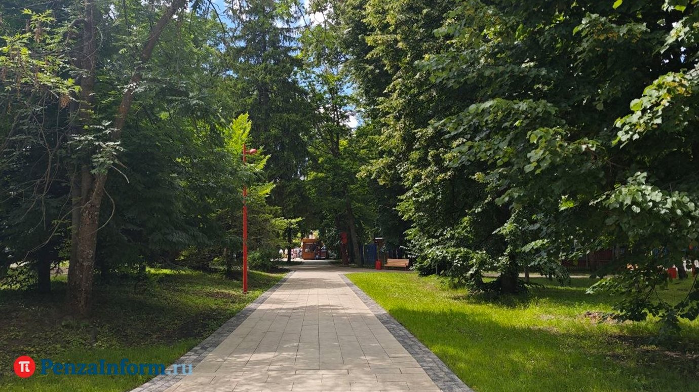 Оптимальный способ предоставления льгот в парке Белинского не найден
