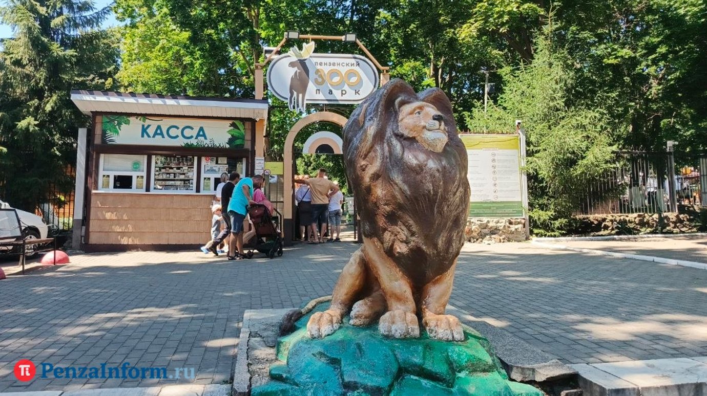 В парке Белинского и зоопарке снизилось число посетителей
