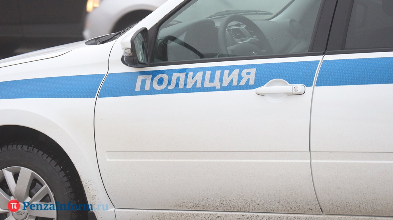 Жителя Каменки подозревают в избиении полицейского ногами
