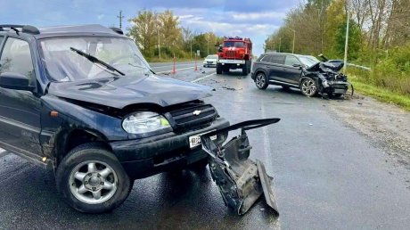 В Кузнецком районе на трассе М-5 погиб 76-летний мужчина