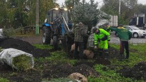 В сентябре в Пензе появилось 1 500 молодых деревьев