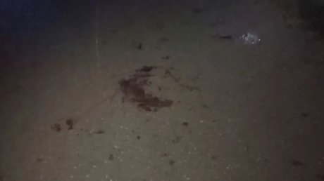 В Башмаковском районе юноша угнал мопед и сбил человека