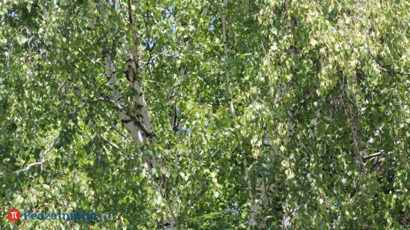 21 сентября - Всемирный день русского единения