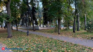 Синоптики подготовили прогноз погоды в регионе на выходные