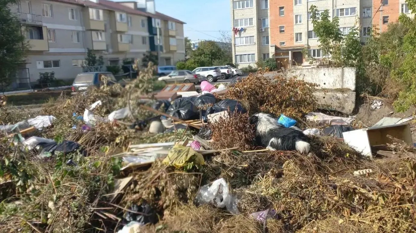 В Каменке несколько недель не вывозят мусор с площадок