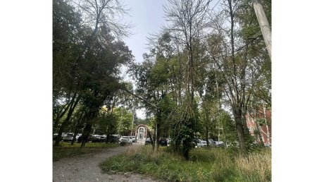 Гулять в сквере «Химмаш» стало опасно для жизни