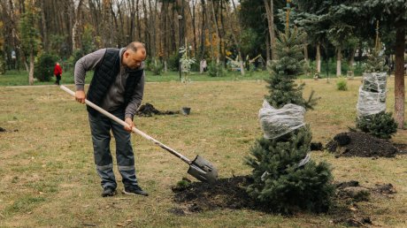 По инициативе «Рисана» в парке в Арбекове высадили более 70 деревьев