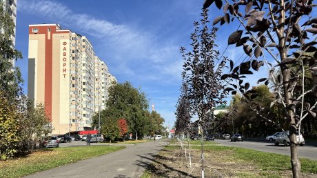 По инициативе «Рисана» в парке в Арбекове высадили более 70 деревьев