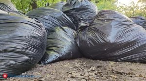 443 жителям региона из-за нарушений пересчитали плату за вывоз ТКО