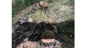 Сельчанин пытался скрыть следы преступления в лесу