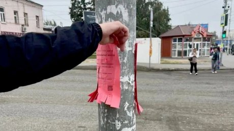 Глава Пензы обвинил школу танцев в неуважении в горожанам