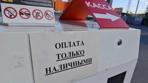 На АЗС требуют только наличные - законно ли это?