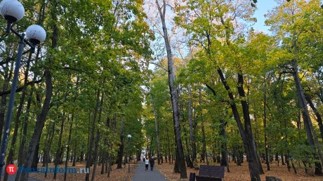 На рабочей неделе пензенцев ждут погодные качели