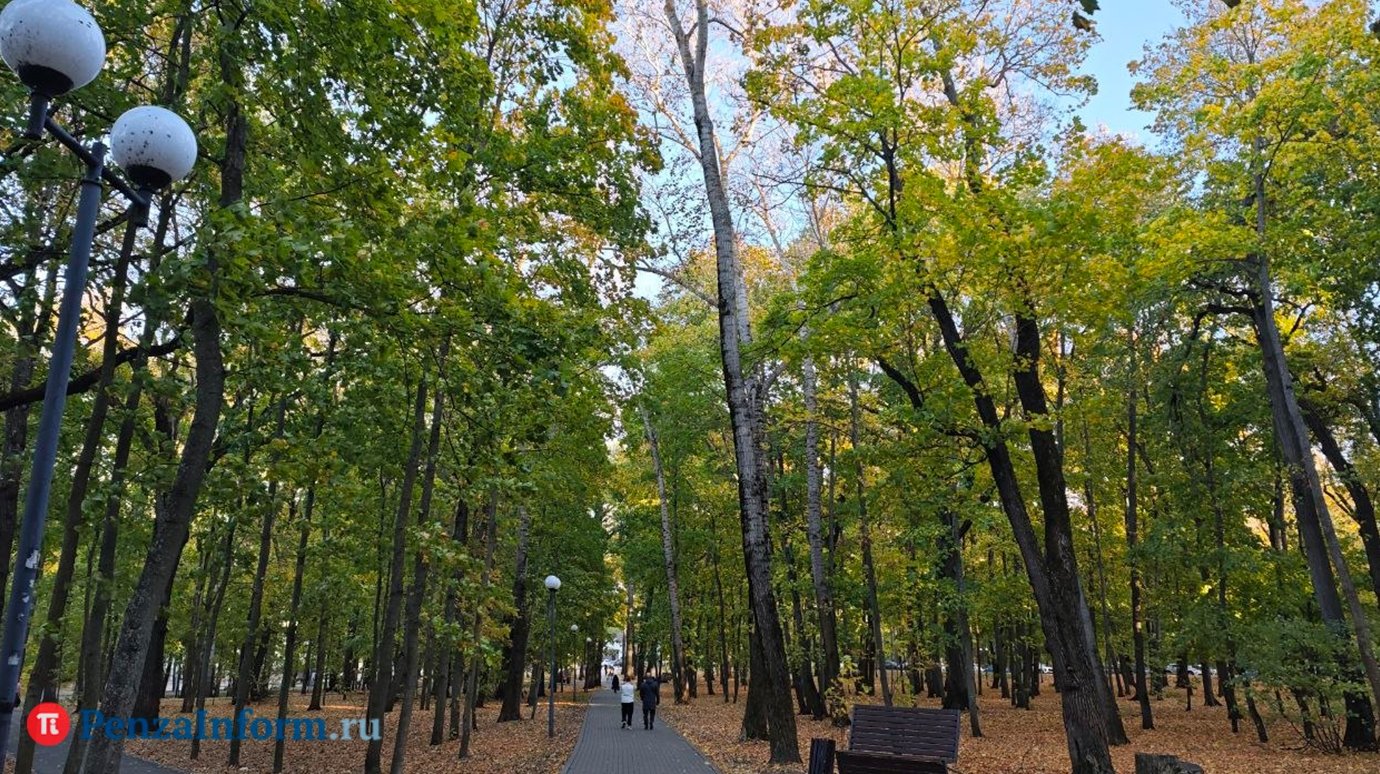 На рабочей неделе пензенцев ждут погодные качели