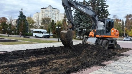В центре Пензы в цветниках обновляют чернозем