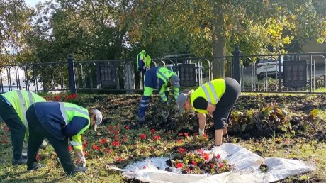 В центре Пензы в цветниках обновляют чернозем