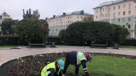 В центре Пензы в цветниках обновляют чернозем